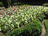 23 - Butchard Gardens  - IMGA0261